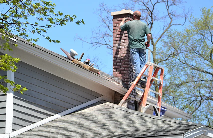 Chimney & Fireplace Inspections Services in La Palma, CA